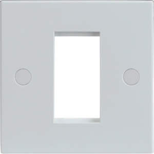 NET1GWH SINGLE MODULAR FACEPLATE