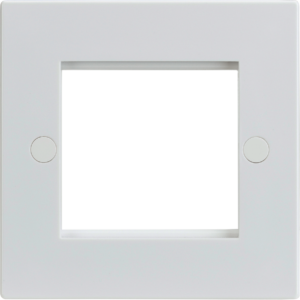 NET2GWH TWIN MODULAR FACEPLATE
