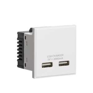 NETUSB DUAL USD CHARGER MODULE