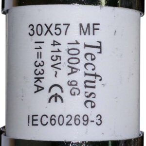 DELIGO FHSL100 HOUSE SERVICE CUT-OUT FUSE 30.16MM 100AMP